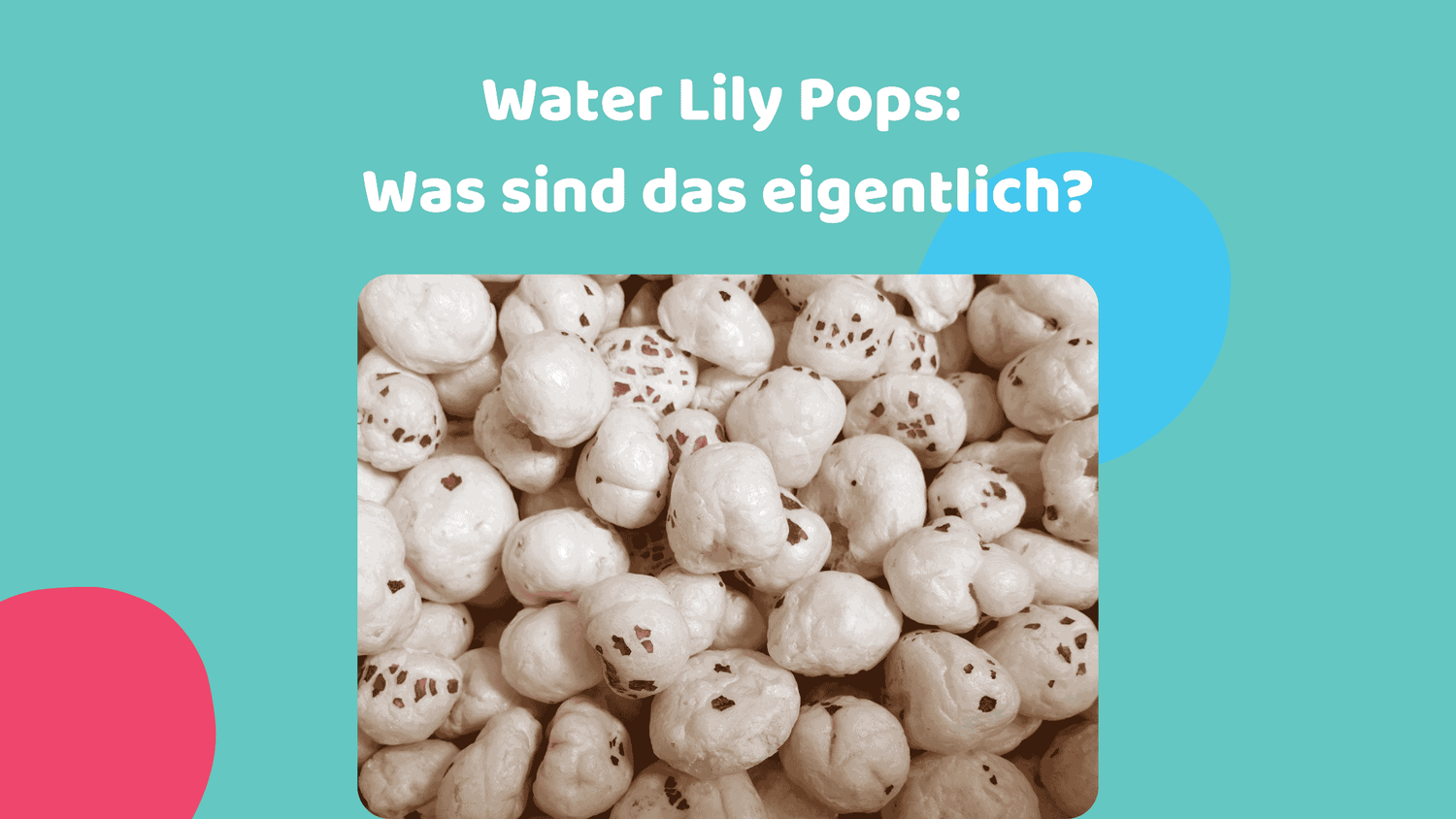 Picture of Water Lily Pops and what they actually are